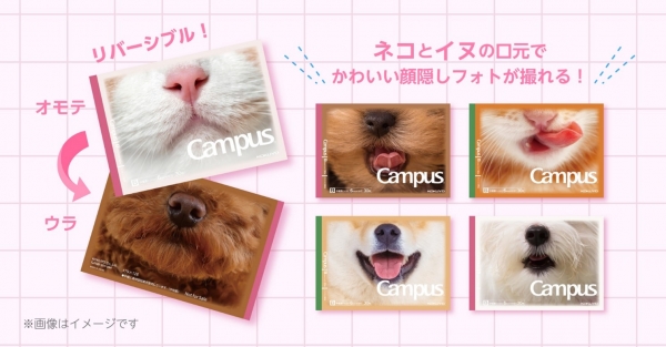 硼ȥɥޡݸCampus!׸ǰ鱣ѥΡȡʥϡե˥ץ쥼ȥڡˤĤ