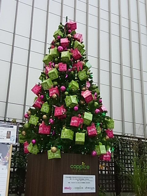 コピス吉祥寺 3F吉祥空園sora