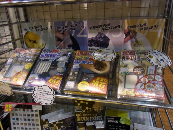 親子で楽しめる「触れる図鑑コレクション」。子どもよりお父さんの方が楽しんでるかも　