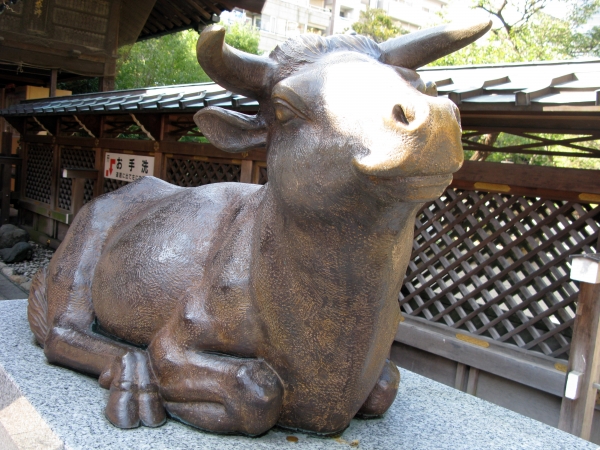 天神様といえば、牛像（撫で牛）　ご利益にあやかろうと、ちゃんと頭を撫でてきました