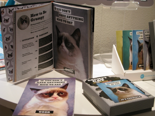 不機嫌な猫と呼ばれる、しかめっつらが特徴のキュートな猫Ｔａｒｄ「グランピーキャット」