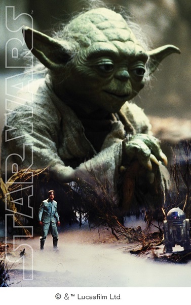 サンスター文具先行商品　「メタリックファイル」400円（税抜）