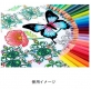 三菱鉛筆、大人の塗り絵に最適な「色鉛筆　No．８８８　＜３６色セット＞」を発売