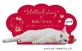 サンリオ、猫耳付きのフードなど人気タレント猫「あなごちゃん」とコラボの「Hello Kitty・あなごちゃん」シリーズを発売 