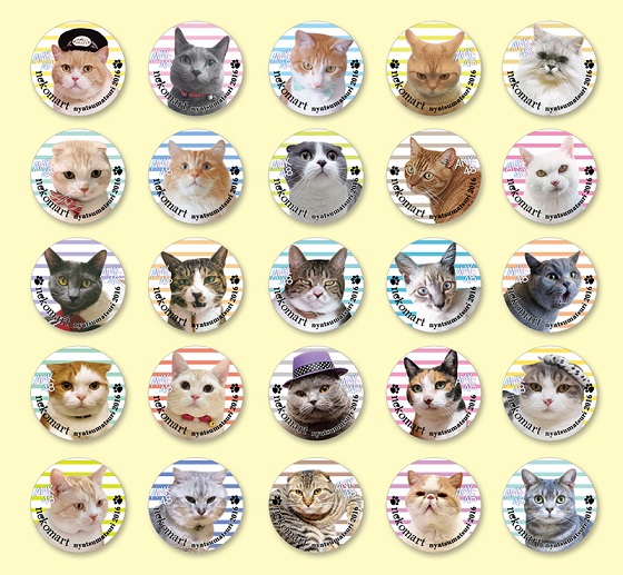 2000円以上のお買い上げ特典7月23日（土）～teamA　無くなり次第終了