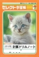 文運堂、セレクト学習帳からネコ、犬、ペンギンなどカワイイ動物写真表紙の「ドリルノート」シリーズを発売