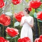 レイメイ藤井、幸せいっぱい！色鮮やかな紙で作る花「スーパーフラワー（ SUPER FLOWER ）」を発売