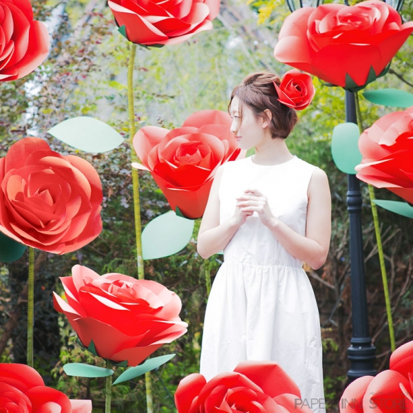 薔薇花(BARAHANA）ｲﾒｰｼﾞ