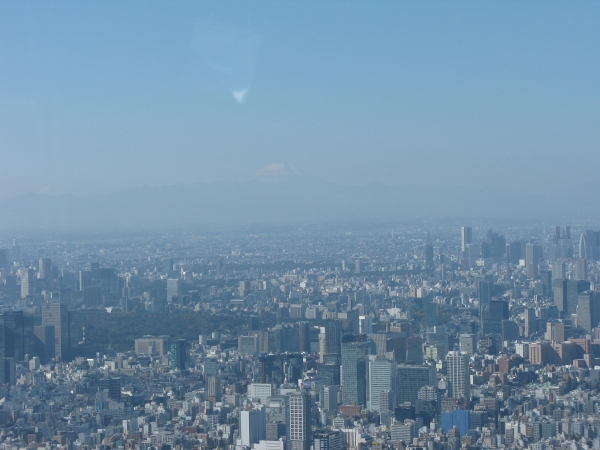 東京スカイツリー地上４５０メートルの天望回廊からの眺め