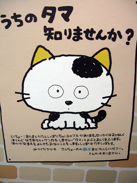 1983年に 突然いなくなった 飼い猫を探すポスター という コンセプトでデビュー