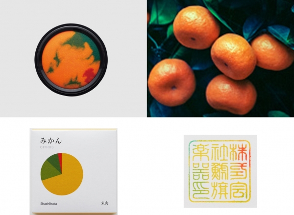 みかん　CITRUS　甘酸っぱい「みかん」色