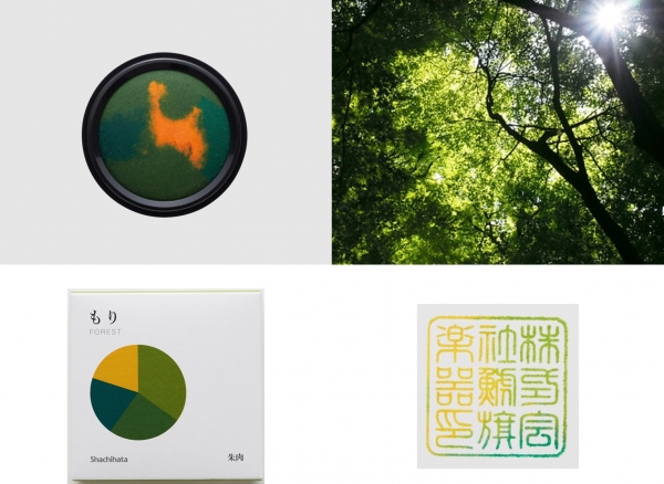 もり　FOREST　木漏れ日差し込む「もり」の色