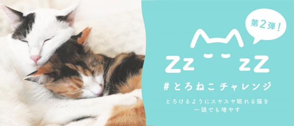 保護猫の譲渡活動を支援する「#とろねこチャレンジ」