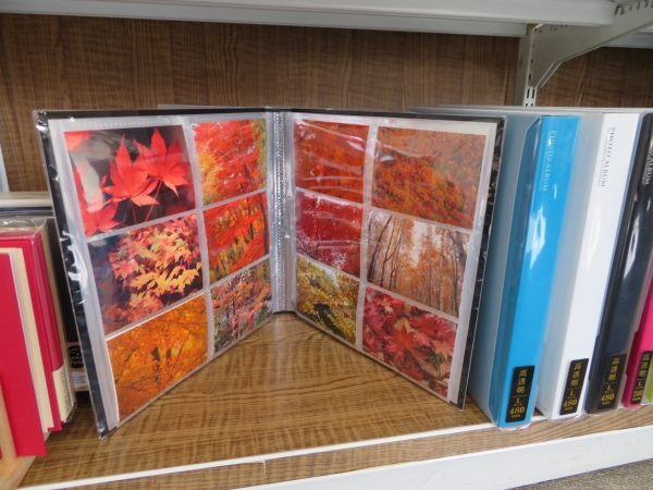 写真がキレイ！高透明ポケット採用の大迫力の見開き12枚収容アルバム「フォトアルバム」