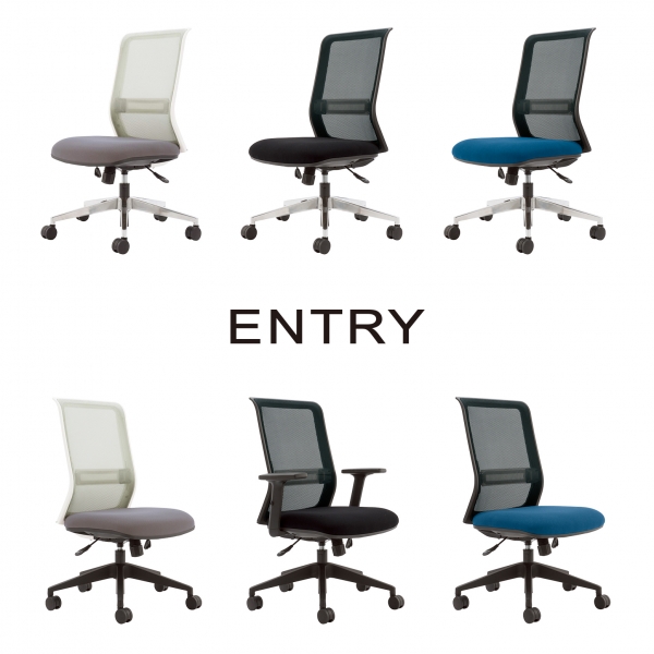 ２．ENTRY（エントリー） 個人の背骨のラインに合わせるランバーサポート機能、座り心地を快適にする奥行き調整機能つきながら、リーズナブルな価格