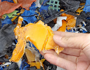 回収した海洋プラごみ