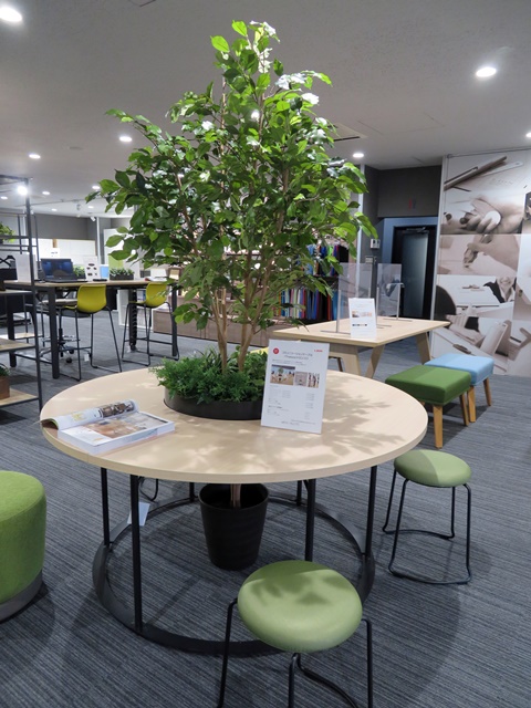 チームで集まりやすい『コミュニケーションテーブル〈トロンコ〉』。立木をセンターに配置すると、さりげなく向かい側の視線を遮ります