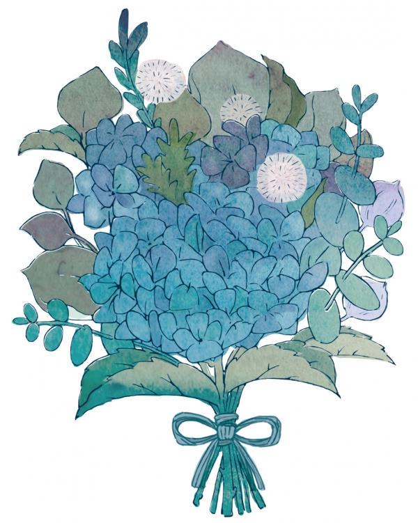 アキイロアジサイ