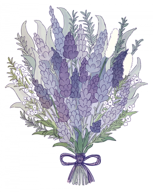 ドライラベンダー