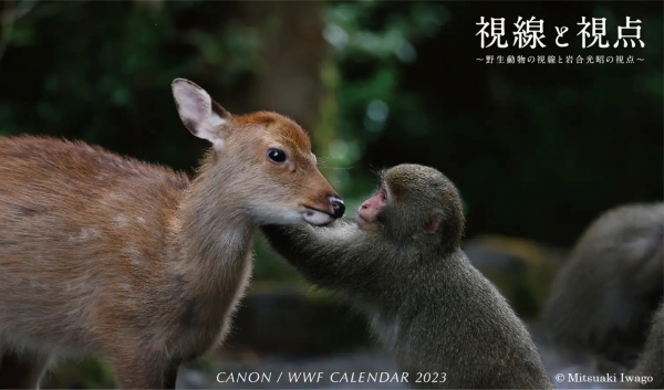 カレンダー表紙画像