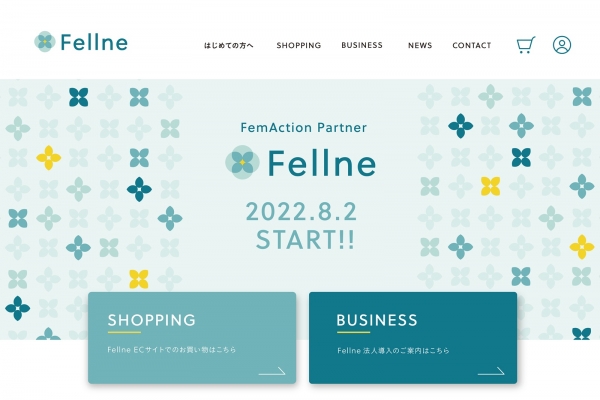 Fellne事業③：フェムアクションの導入サポート  様々なフェムアクションを、カタログ的に一覧することが可能です。