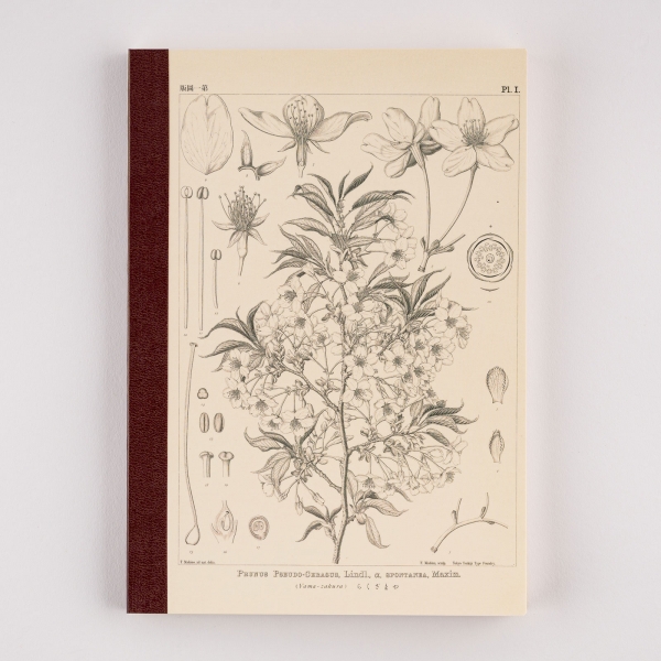 ●「牧野富太郎/ほぼ日の方眼ノート ヤマザクラ」：1,210円（A6）／1,540円（A5）