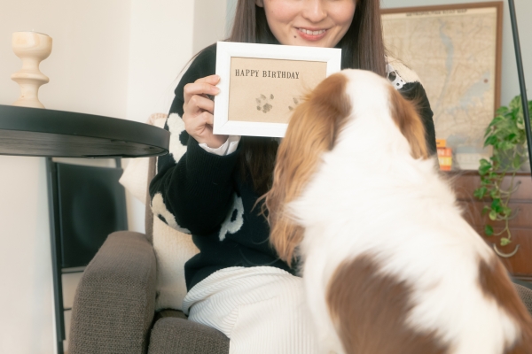 ●使用方法 3.完成