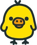 キイロイトリ