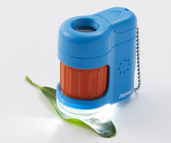 LEDライト付き倍率20倍で観察