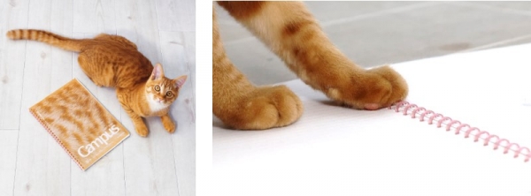 （1）やわらかな触感のソフトリング部分を猫のやわらか肉球カラーに
