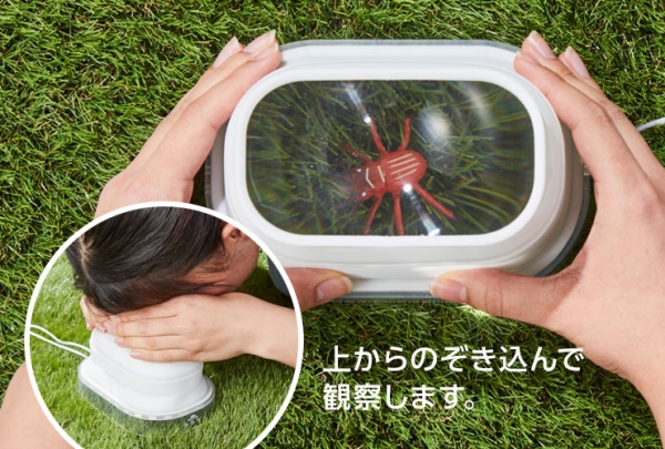「虫かごスコープ」地面を使って、観察物を超観察スコープの内側に閉じ込めます。両手でレンズの周りを囲み、目の横から入る光をさえぎると観察しやすいです。
