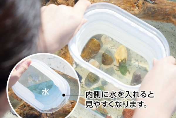 「アクアスコープ」超観察スコープの内側に水を入れて、レンズ全体に1cmほど薄く水を張ります。両手でフレームを持ち、レンズを水面に浸けて浅瀬や水槽の中などを観察します。