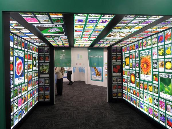ジャポニカ学習帳は当時ステータスであった百科事典の写真や、世界中のさまざまな情報を表紙と読み物付録に採用。１９７０年から他の学習帳にはない特長をもった学習帳としてスタートし、５５年間の累計販売数は14億冊を超えました